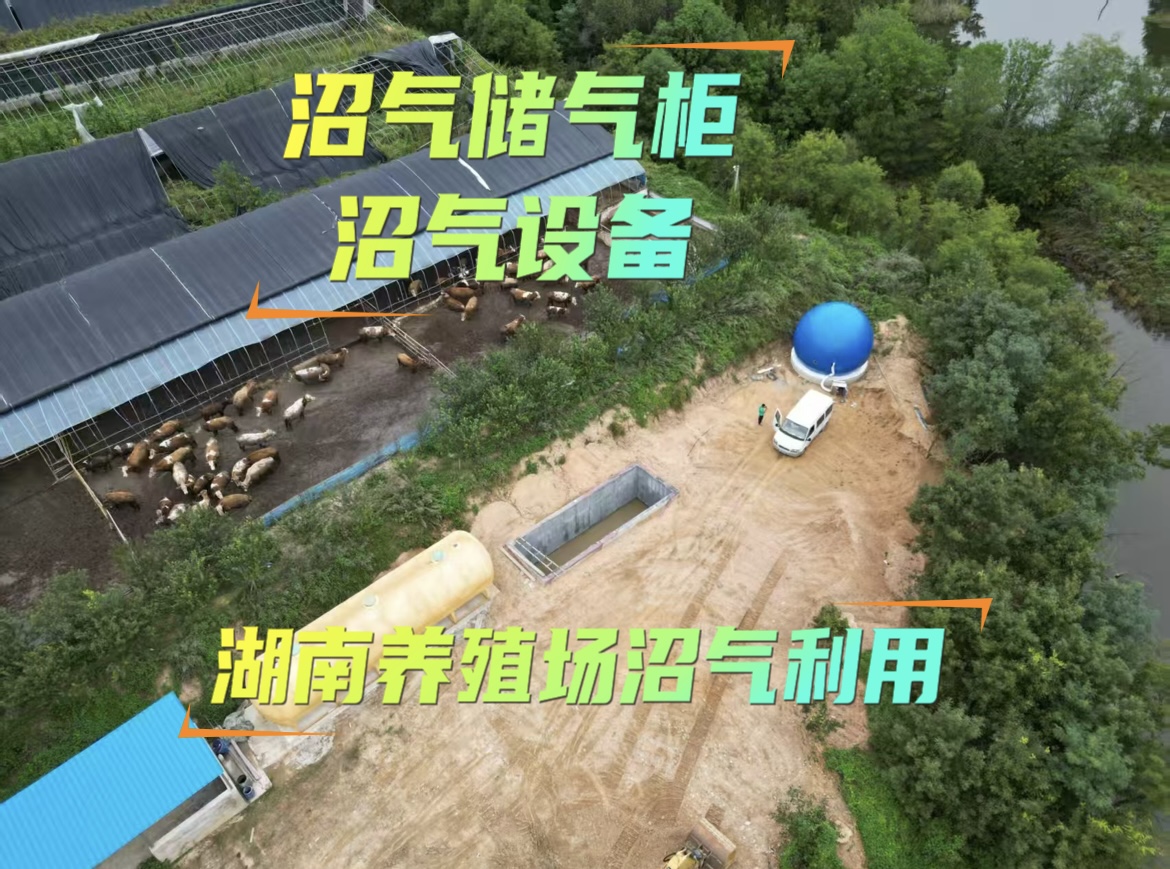 湖南养殖场双膜气柜