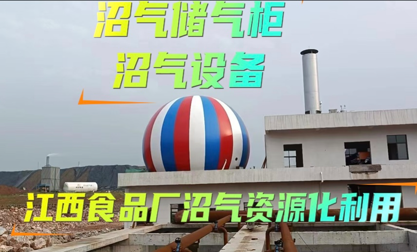 江西食品厂双膜气柜