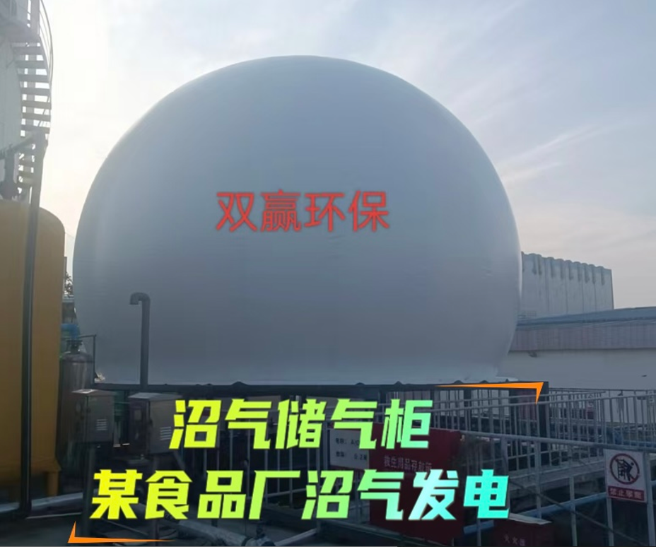 某食品厂沼气发电