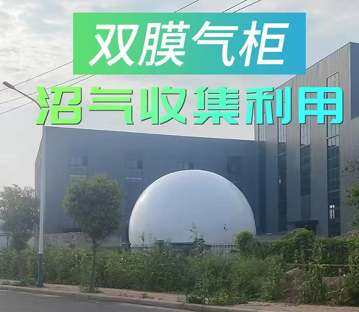 1782194985311439.png cc039206-d4f4-48cf-b7bc-7a48c2f84626.png